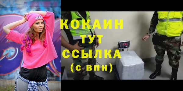 PSILOCYBIN Волосово