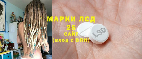 PSILOCYBIN Волосово