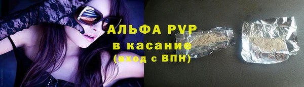 PSILOCYBIN Волосово