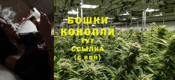 PSILOCYBIN Волосово
