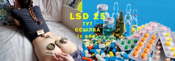 PSILOCYBIN Волосово
