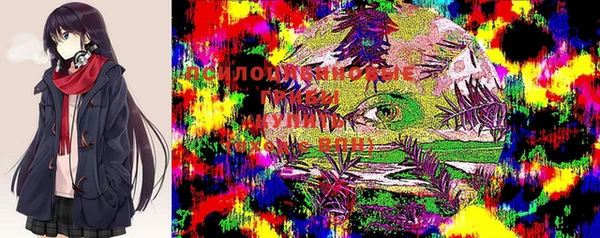 PSILOCYBIN Волосово