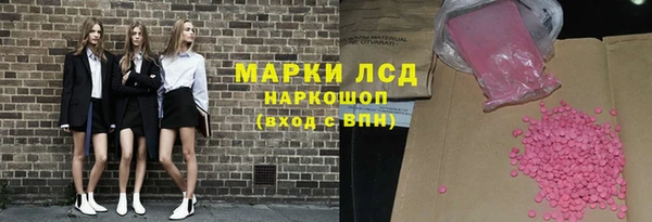 PSILOCYBIN Волосово