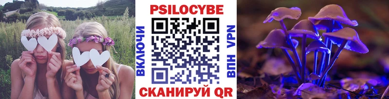 Галлюциногенные грибы Magic Shrooms  Находка 
